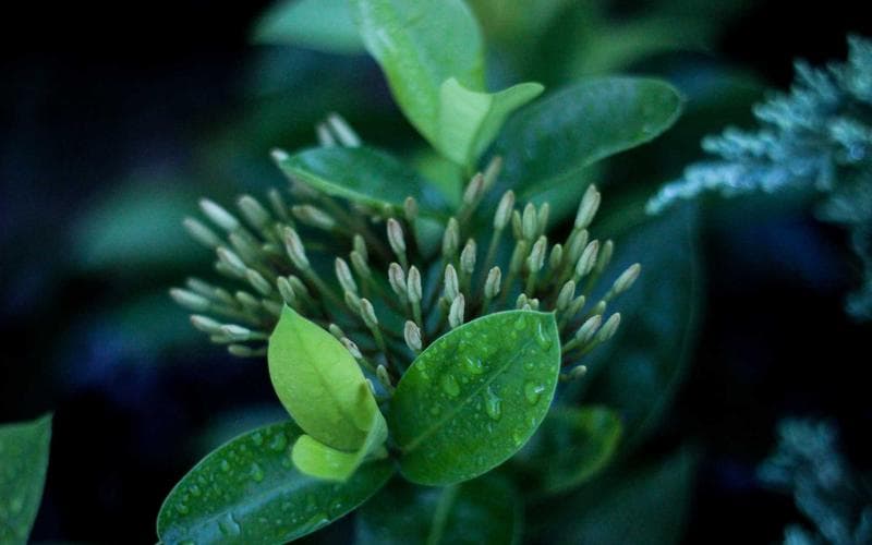 Featured reading content